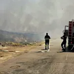 Пожар лумна на изхода на Асеновград, горят треви и лозя