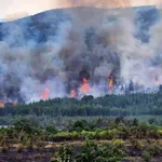 Пожарите в Хасковско са локализирани
