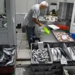 Дребна циганка напълни морето в Бургас