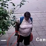 „Баба хулиганка“ удари в „Дружба“