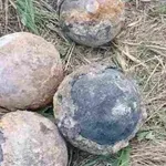 Странна находка: Гюлета се показаха на дъното на пресъхналия Дунав
