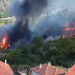 Има загинали животни при големия пожар в Белоградчик
