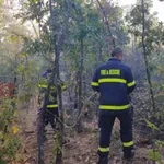 Локализиран е пожарът в труднодостъпна местност край Габаре