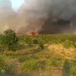 Два хеликоптера гасят пожар край Котел, активираха BG-ALERT