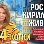 Росица Кирилова живее с 24 котки