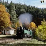 Кола се обърна на релсите между Курило и Реброво