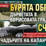 Шокираща гледка: Бурята обрули дърветата в Борисовата градина, счупи чадърите на капанчетата (СНИМКИ)