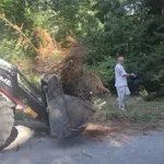 Столична община разчиства ударно парк "Врана"