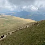 Откриха българка, обявена за изчезнала в Северна Македония