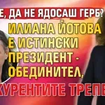 Нидале, да не ядосаш ГЕРБ? Алгафари: Илиана Йотова е истински президент - обединител, конкурентите треперят!