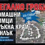 Ала Стивън Кинг: Нелегално гробище за домашни любимци се пръкна край Казанлък