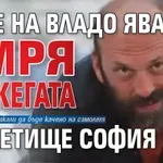 Куче на Владо Явашев умря от жегата на летище София