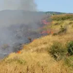 Дете подпали гората край Градец