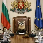 Седмицата: Пор ли влиза на Дондуков-2?