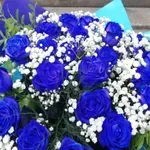 Учени с революционна новост: Създадоха сини рози с генетична модификация