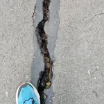 3 години след ремонта: Алеите в Западен парк отново се разпадат (Снимки)