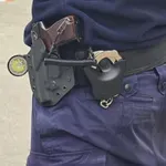 Бой в Паликени, пострада и полицай