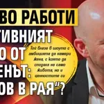 Какво работи противният Жоро от „Ергенът: Любов в рая“?