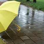 Ще ни брули силен вятър, обявиха жълт код