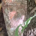 Военни обезвредиха боеприпас във Варна