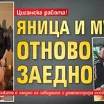 Циганска работа! Яница и Мути отново заедно