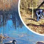 Почистват и възстановяват езерата в Южния парк