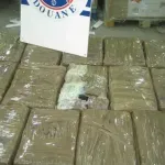 Иззеха значителни количества кокаин, MDMA и метамфетамин