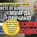 Проф. Тодор Кантарджиев пред Lupa.bg: Плъховете от боклука могат да причинят екзотични инфекции