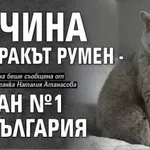 Почина котаракът Румен - писан №1 на България