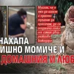 Куче нахапа 16-годишно момиче и уби домашния ѝ любимец