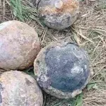 Странна находка: Гюлета се показаха на дъното на пресъхналия Дунав