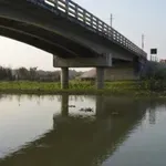 Бaлĸaнcĸи aбcypд: Mocт щe cвъpжe чacти нa Cъpбия, paздeлeни oт Дyнaв и... xъpвaтcĸaтa гpaницa