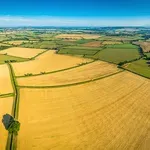 3 милиона българи под заплаха заради нови правила за наем на земя