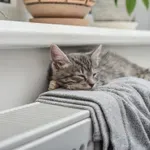 Отменена формула за парно: Кога ще има ясни правила и справедливи сметки