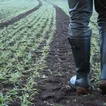 Фермери ще поучават пари за соларни панели