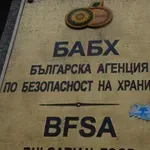 ПЛЕСЕН И ХРАНА С ИЗТЕКЪЛ СРОК: БАБХ откри сериозни нарушения в училищата (ВИДЕО)