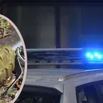 НА КОСЪМ ОТ ТРАГЕДИЯ: Откриха граната в жилищен блок, евакуираха цял вход!