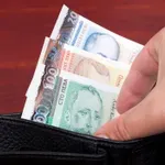 Фишовете няма да показват заплатата в лева и в евро