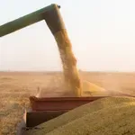 Земеделец: Рентите у нас са икономически необосновани