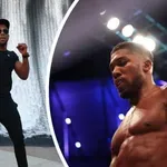 Джошуа вече е свободен