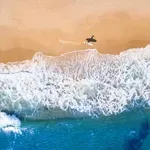 НА ПРАГА НА СЕЗОНА: Петно от мазут изплава на варненския плаж