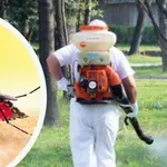 НЕ НИ СТИГА ЖЕГАТА: Лекари обявиха червен код заради вируса Зика!