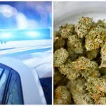 Списаха с трева сина на Бобоков!