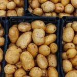 БАБХ започва извънредни проверки на картофите в големите вериги