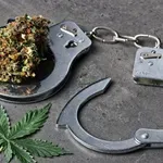 Иззеха марихуана за над 2 млн. евро при спецакция в Бургаско и Ямболско
