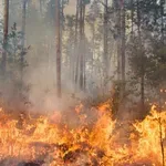 НОВИ РАЙОНИ В БЕДСТВЕНО ПОЛОЖЕНИЕ: Гори труднодостъпен терен!