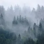 ПРОГНОЗА: Посрещаме седмицата с мъгла и вятър