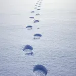 ХЕМ ТАКА, ХЕМ ИНАЧЕ: Жълт код за сняг в три области