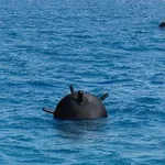 Турция засече 275 съмнителни обекта в Черно море