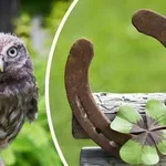 Екип на РИОСВ - София спаси кукумявка, попаднала в комин